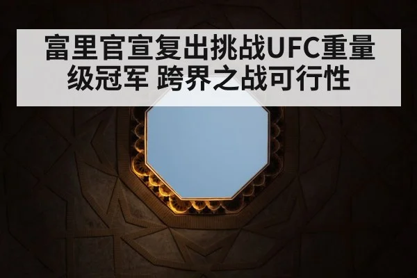 UFC octagon