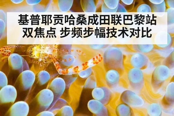 基普耶贡哈桑成田联巴黎站双焦点 步频步幅技术对比